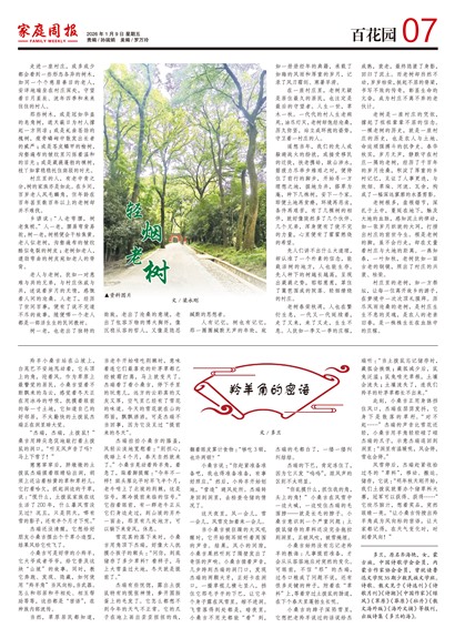 ��ͥ�ܱ��ٻ�԰